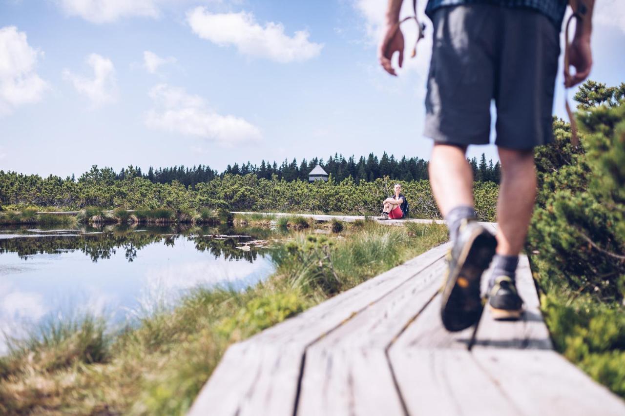 Pohorje Village Wellbeing Resort - Forest Apartments Videc Hočko Pohorje Eksteriør bilde