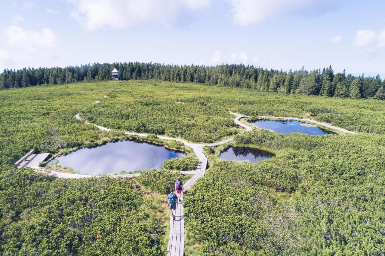 Pohorje Village Wellbeing Resort - Forest Apartments Videc Hočko Pohorje Eksteriør bilde
