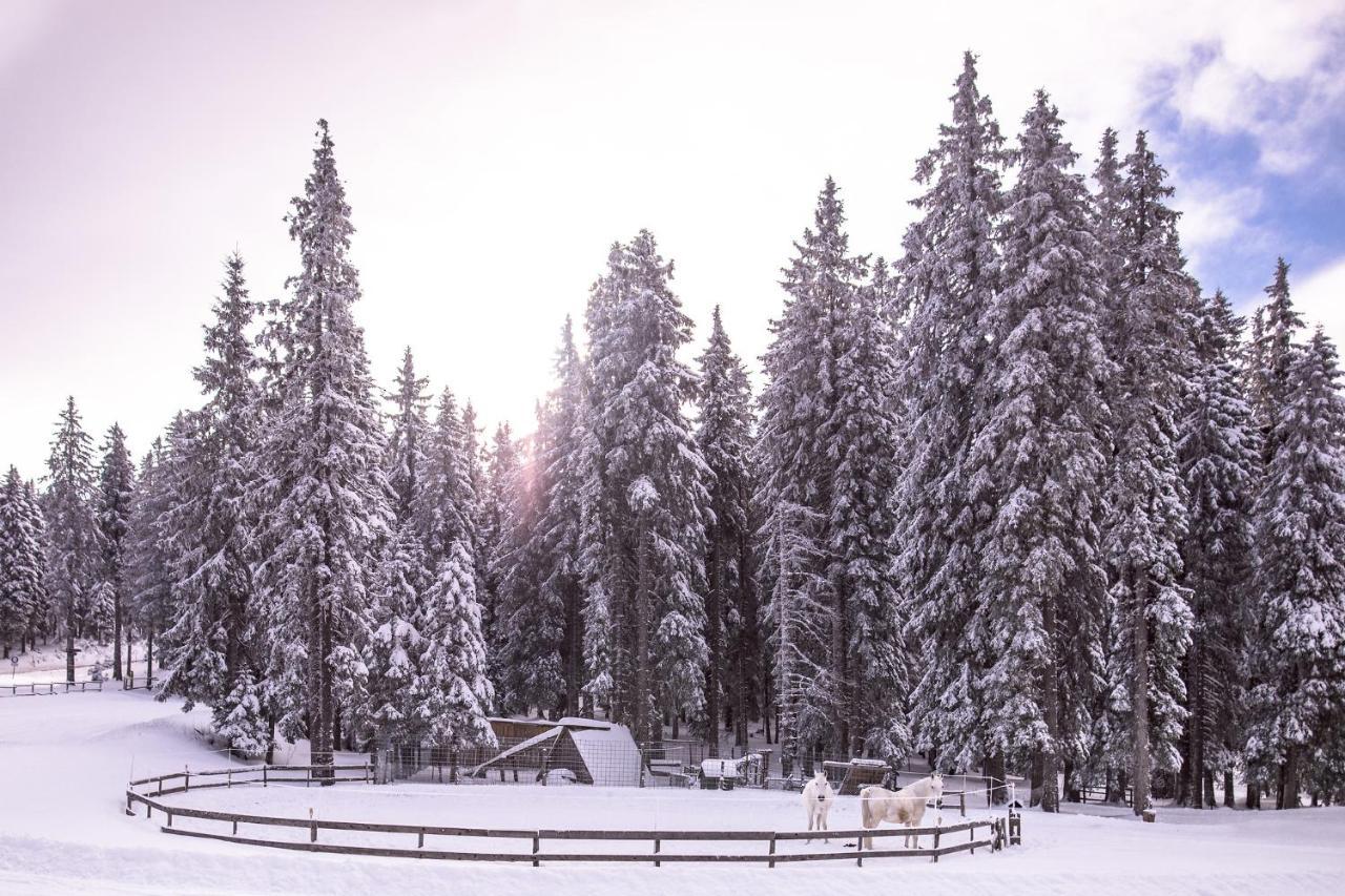 Pohorje Village Wellbeing Resort - Forest Apartments Videc Hočko Pohorje Eksteriør bilde