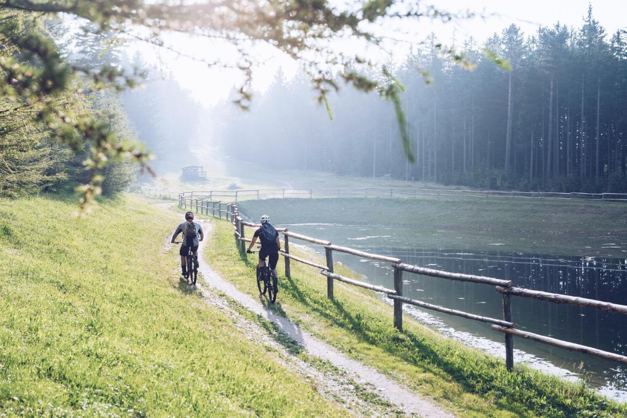 Pohorje Village Wellbeing Resort - Forest Apartments Videc Hočko Pohorje Eksteriør bilde