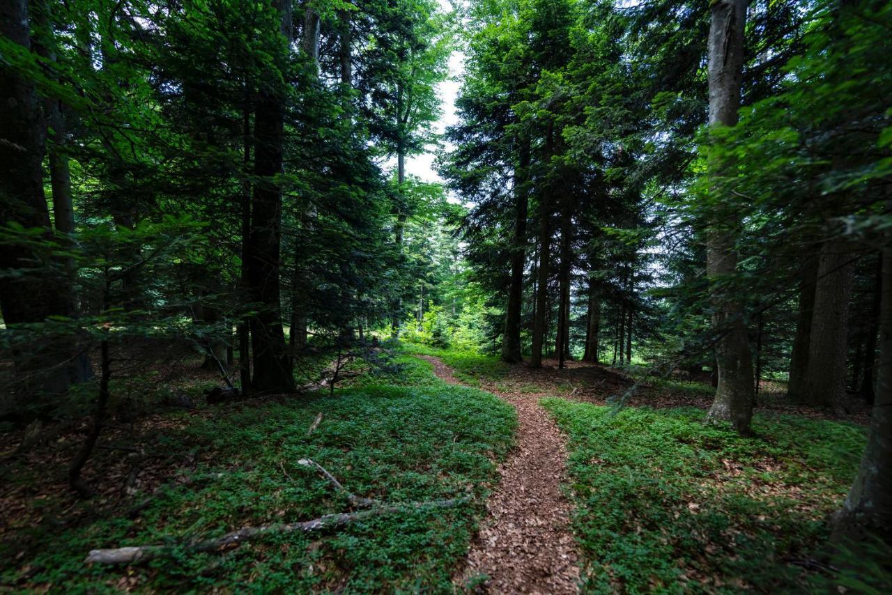 Pohorje Village Wellbeing Resort - Forest Apartments Videc Hočko Pohorje Eksteriør bilde