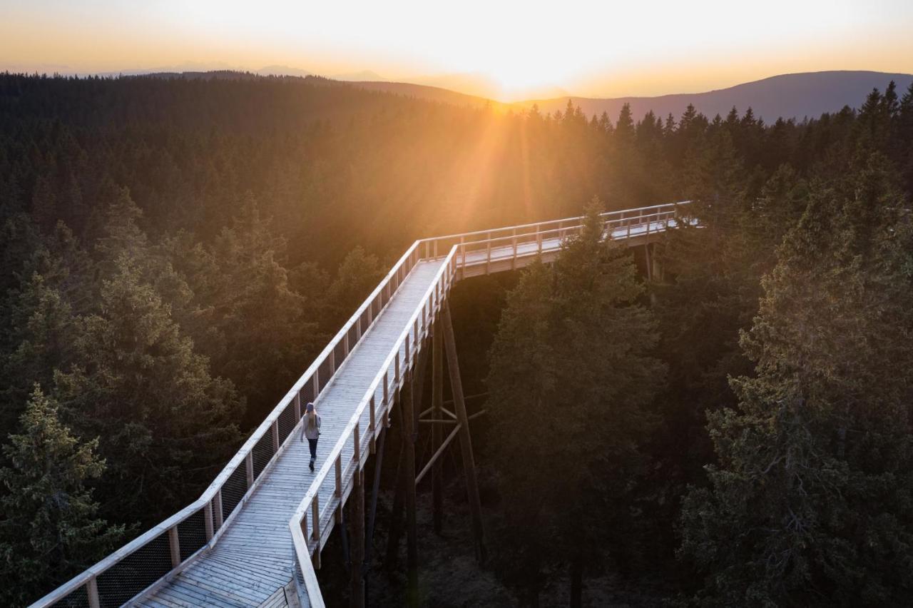 Pohorje Village Wellbeing Resort - Forest Apartments Videc Hočko Pohorje Eksteriør bilde