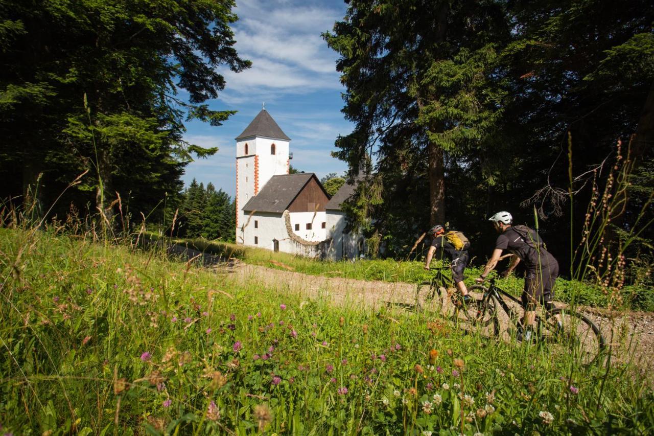 Pohorje Village Wellbeing Resort - Forest Apartments Videc Hočko Pohorje Eksteriør bilde