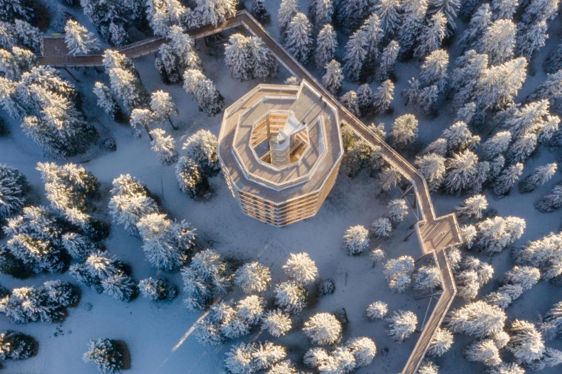 Pohorje Village Wellbeing Resort - Forest Apartments Videc Hočko Pohorje Eksteriør bilde