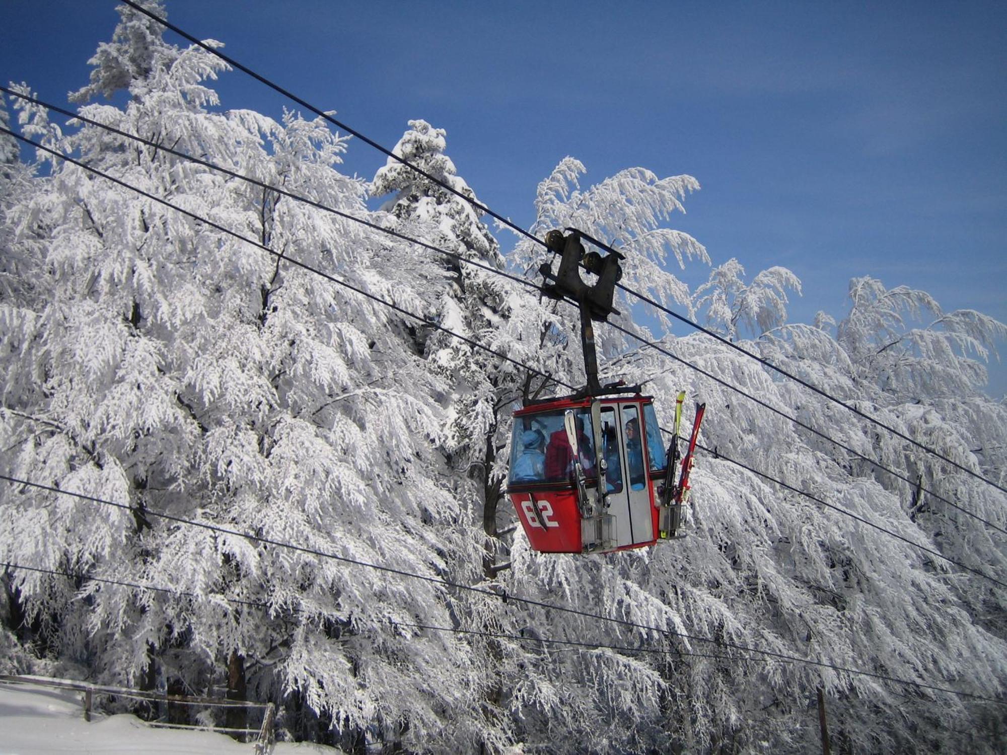 Pohorje Village Wellbeing Resort - Forest Apartments Videc Hočko Pohorje Eksteriør bilde